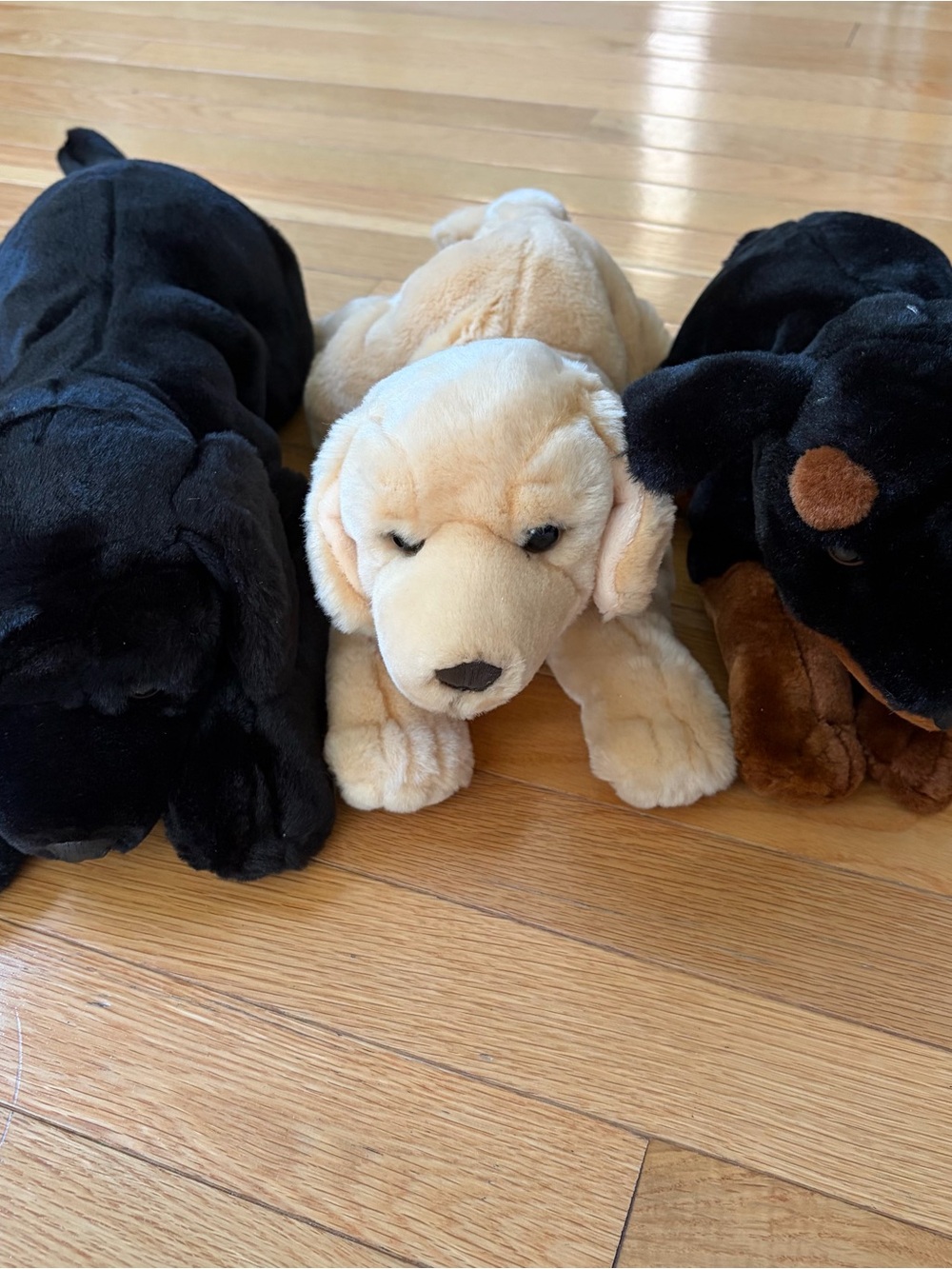 KIDS Preferred Dogs- Plush Stuffed Animals Lot of 3 Vintage 2000 Small & Cuddly